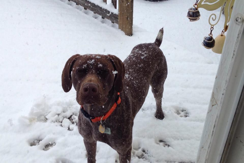 Snow, 10/14